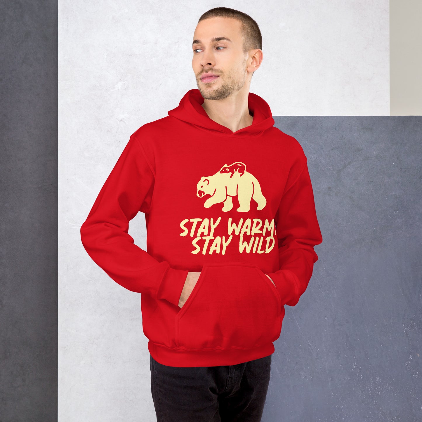 Stay Warm Men Hoodie